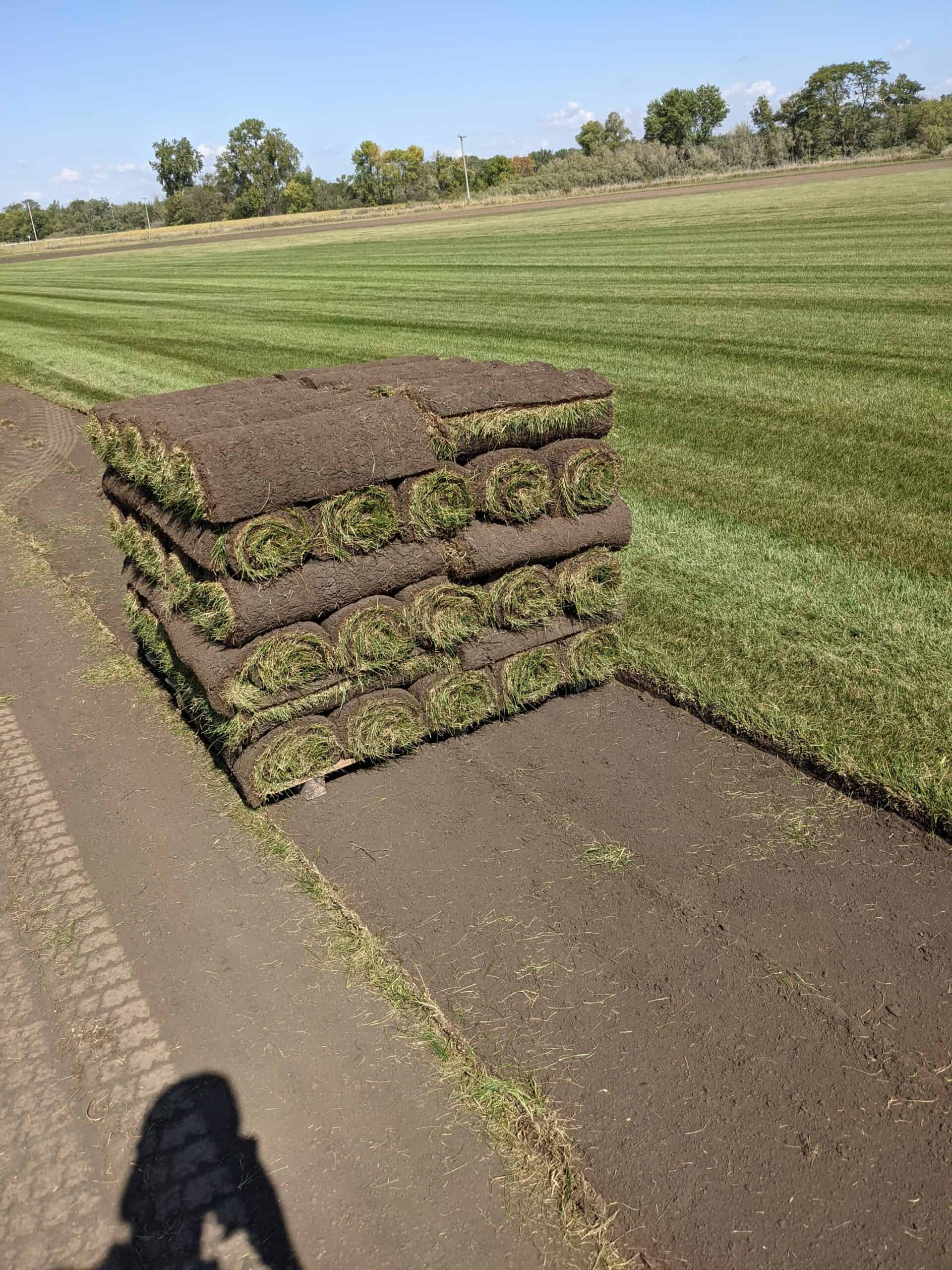 PXL_20210915_165228099.MP PXL 20210915 165228099.MP scaled - Master Grass Landscape and Lawn Care