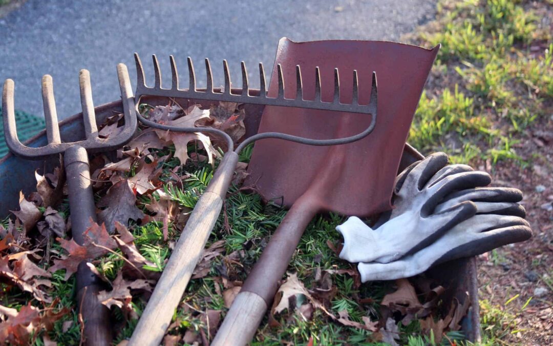 C Is For Cleanup: It’s Vital to Your Yard