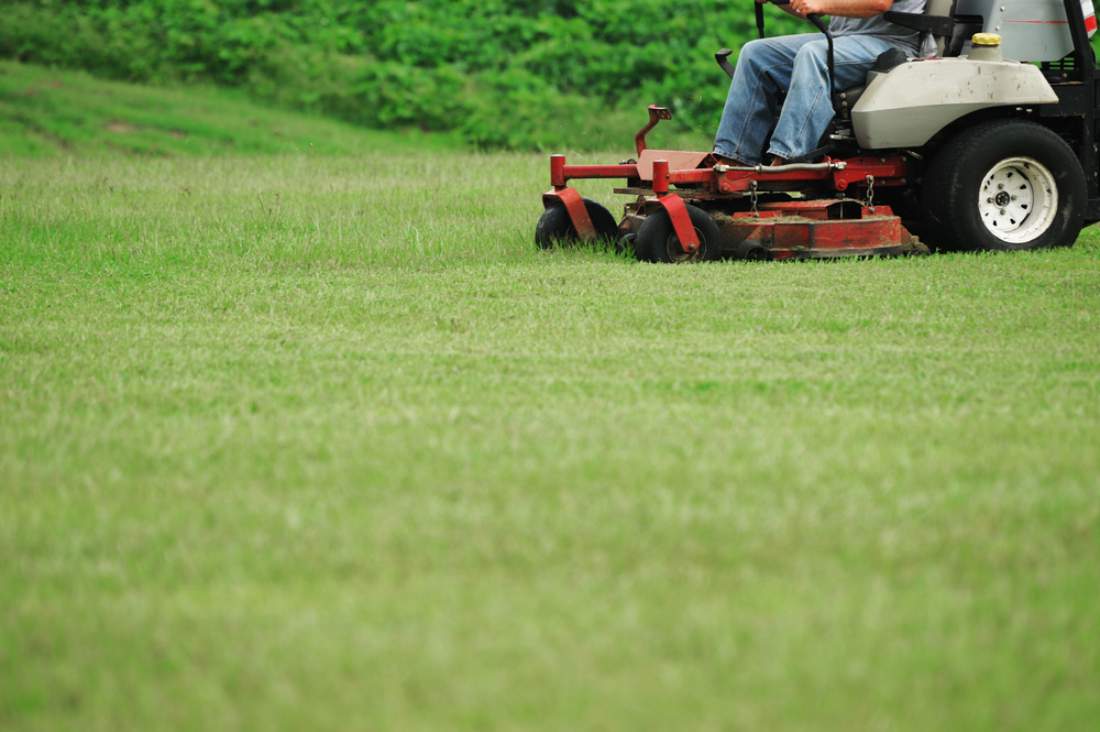 If You Don’t Mow, Now You Know