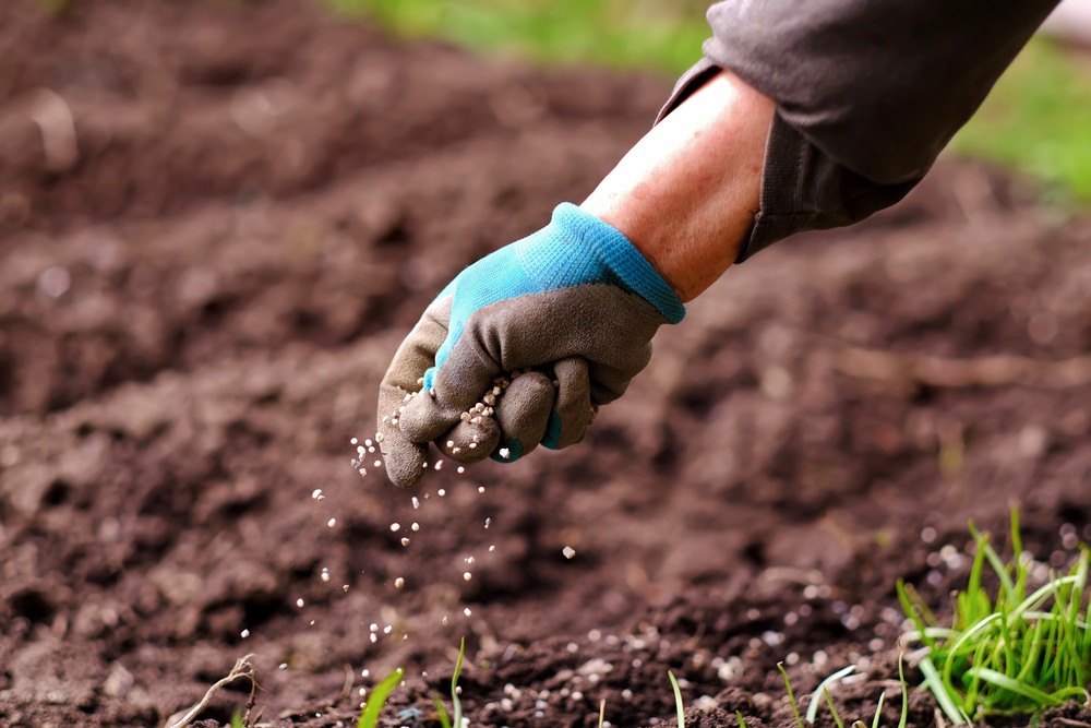 Unleashing the Beauty of Your Landscape: The Power of Professional Fertilization