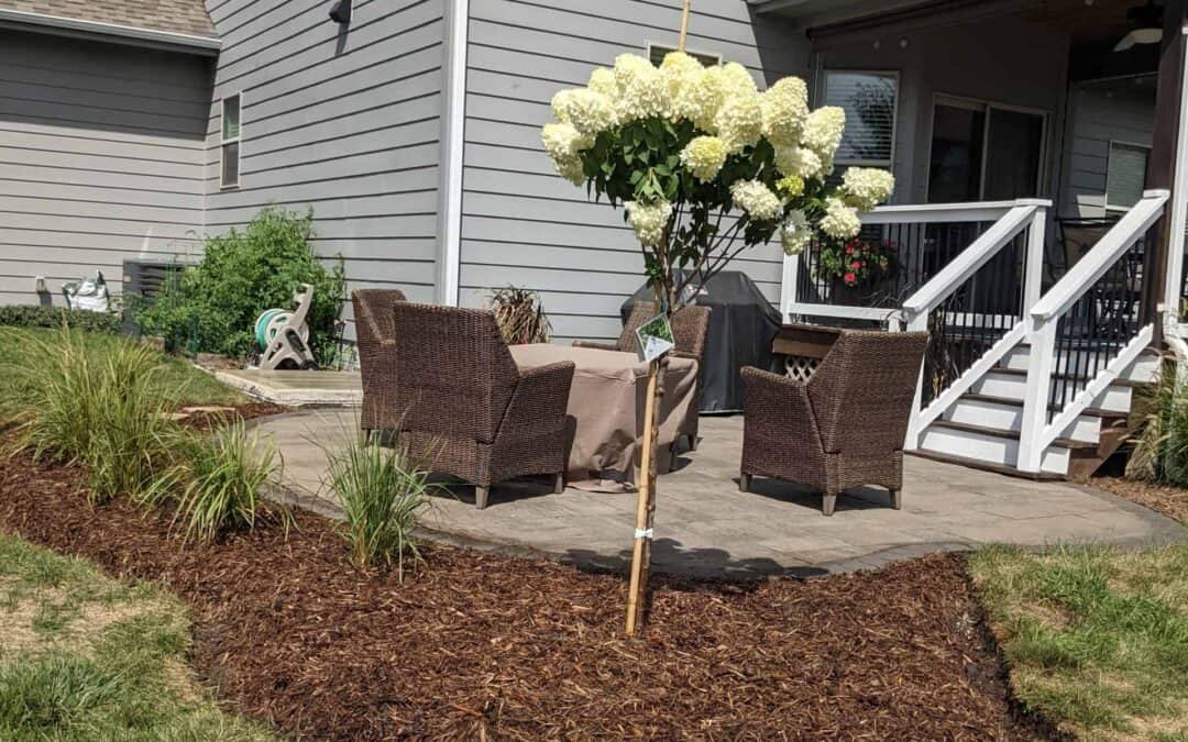 Homeowner Hardscaping Hacks for Beautiful Patios