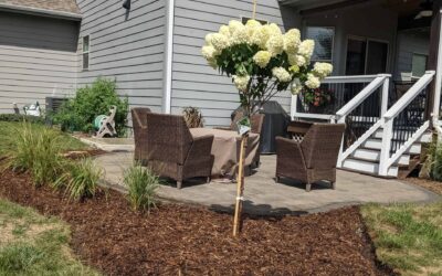 Homeowner Hardscaping Hacks for Beautiful Patios