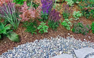 Choosing the Right Mulch for Your Landscape Design