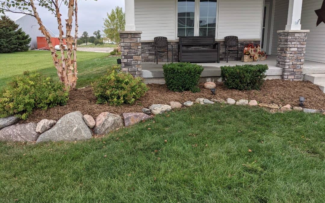 Understanding the Different Mulch Types: A Comprehensive Landscaping Guide